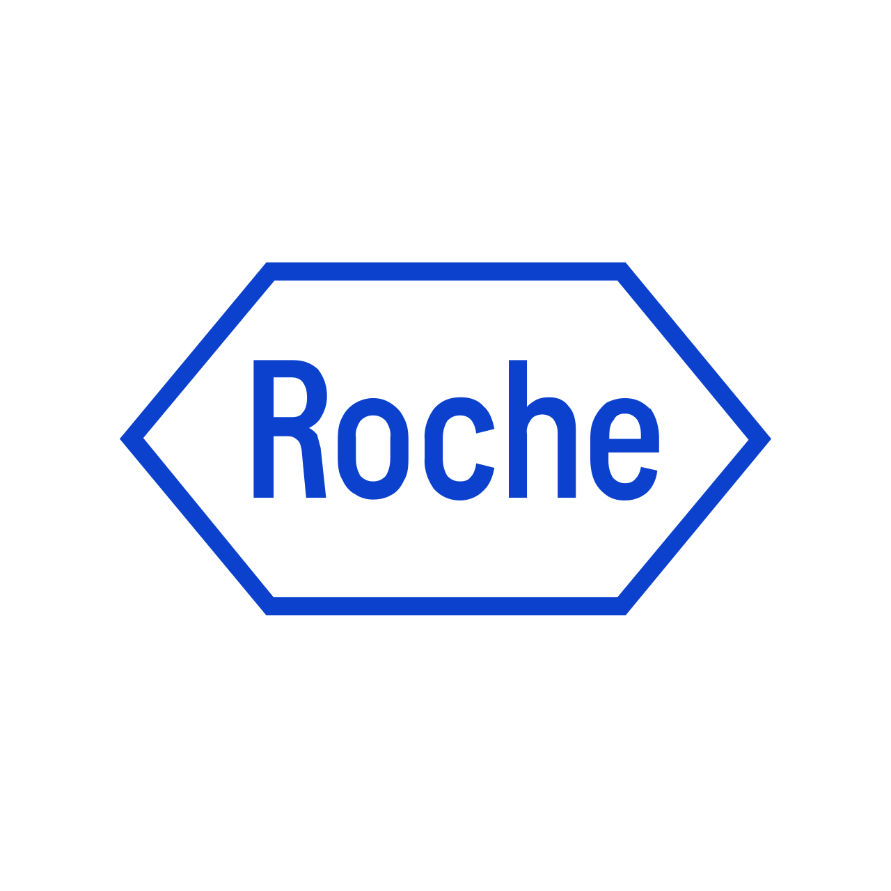 logo git duesseldorf sponsor roche